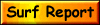 Area Surf Repot